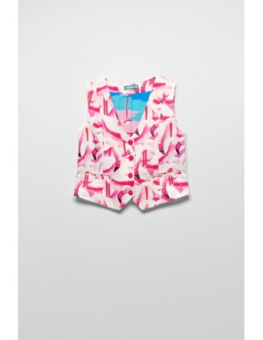 Chaleco Flamencos